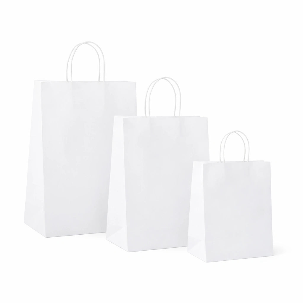 PAPER BAG , WHITE (25 PCS)