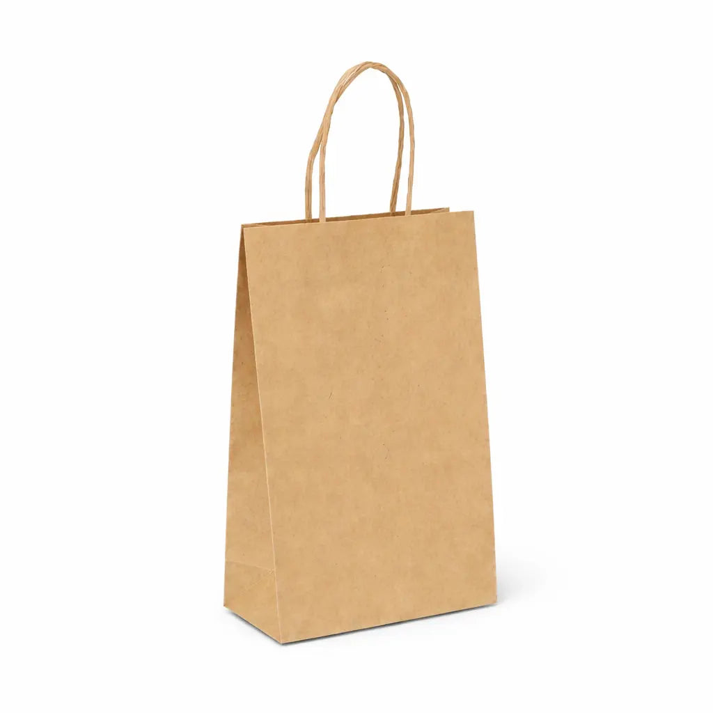 PAPER BAG, BROWN (25 PCS)
