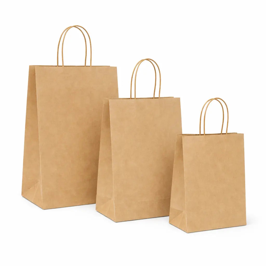 PAPER BAG, BROWN (25 PCS)