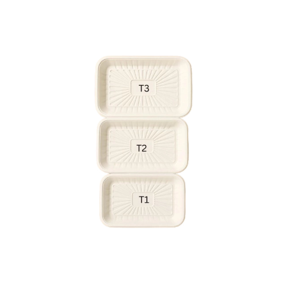 SALAD TRAY - (50 PCS)